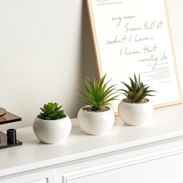 Mini plant Artificial Flowers Decoration | Artificial Plants Ball for Home (1 pc Round shape) - Image 3