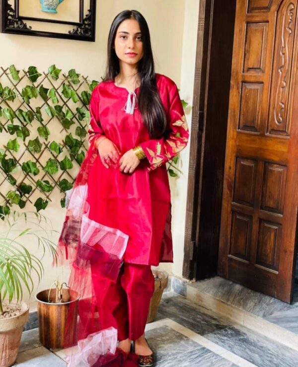 3 Pcs Women's Stitched Embroidered Suit - Image 3