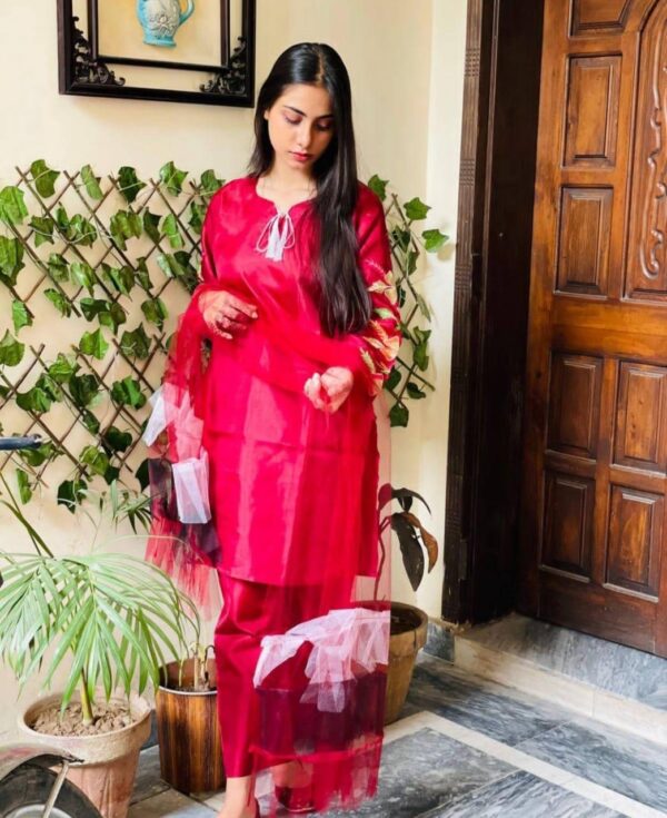 3 Pcs Women's Stitched Embroidered Suit