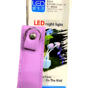 Big deal pack of 2 - Ear Wax Cleaner & Mushroom Led Night Light (Random color)